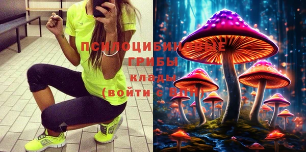 дурь Аркадак