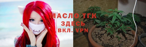 прущие грибы Армянск