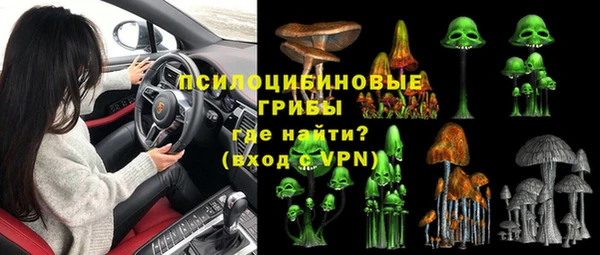 прущие грибы Армянск