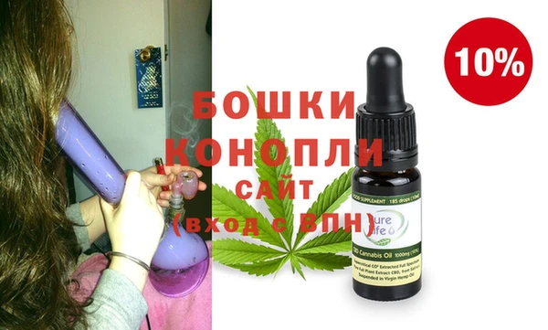 дмт Рославль