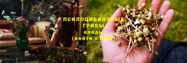 прущие грибы Армянск