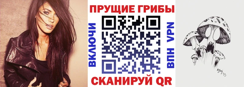 как найти   Советский  Псилоцибиновые грибы мицелий 